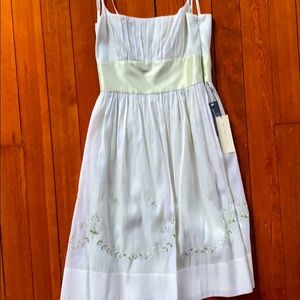 Light Green Ann Taylor Dress
